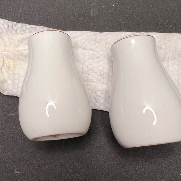 Vintage Alaska State Flower Forget-Me-Not Porcelain Salt & Pepper Shakers - Picture 3 of 10